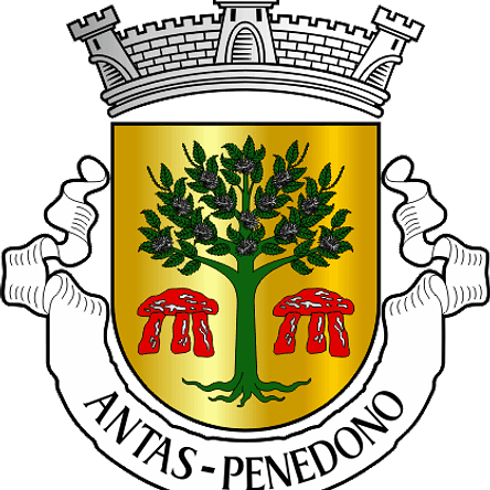 Emblema Bordado Antiga Freguesia de Antas (Penedono, Viseu) 1