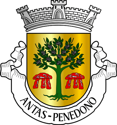 Emblema Bordado Antiga Freguesia de Antas (Penedono, Viseu)