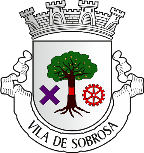 Emblema Bordado Freguesia de Sobrosa (Paredes, Porto)