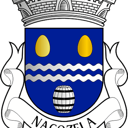 Emblema Bordado Antiga Freguesia de Nagozela (Santa Comba Dão, Viseu) 1
