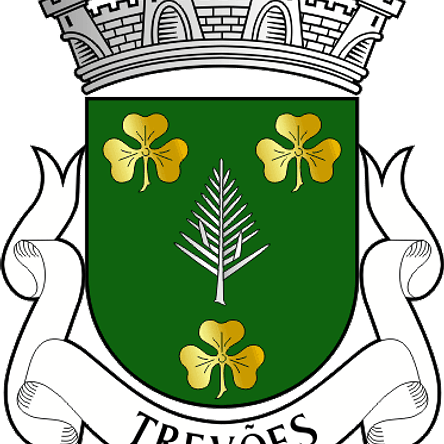 Emblema Bordado Antiga Freguesia de Trevões (São João da Pesqueira, Viseu) 1