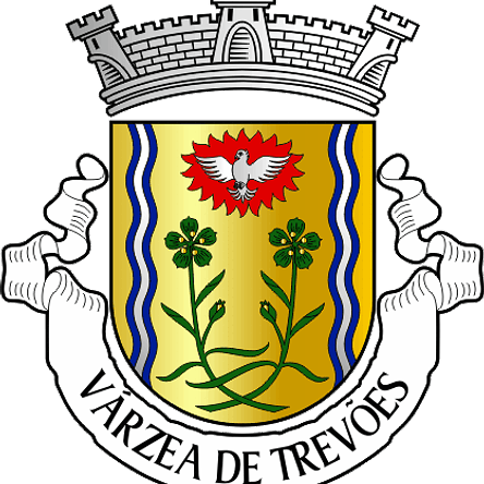 Emblema Bordado Antiga Freguesia de Várzea de Trevões (São João da Pesqueira, Viseu) 1