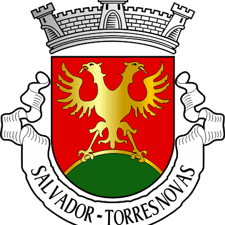 Emblema Bordado Antiga Freguesia de Torres Novas (Salvador) (Torres Novas, Santarém) 1