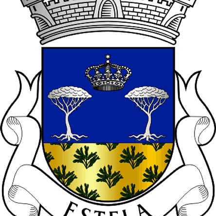 Emblema Bordado Freguesia de Estela (Póvoa de Varzim, Porto) 1