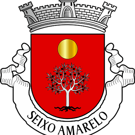 Emblema Bordado Antiga Freguesia de Seixo Amarelo (Guarda, Guarda) 1