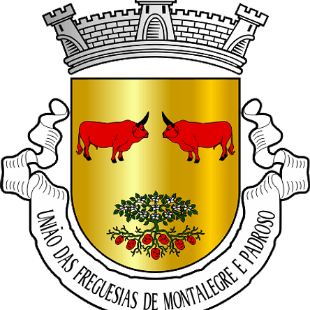 Emblema Bordado Freguesia de Montalegre e Padroso (Montalegre, Vila Real) 1