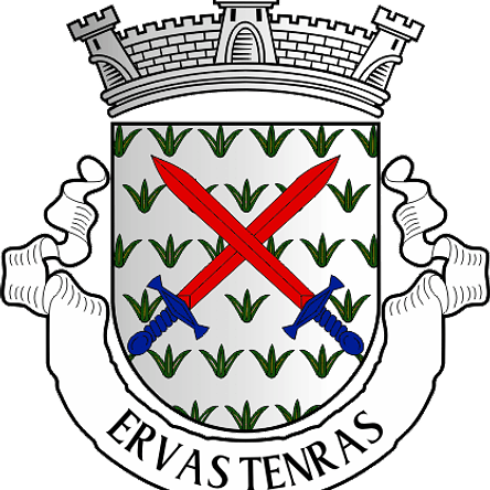 Emblema Bordado Antiga Freguesia de Ervas Tenras (Pinhel, Guarda) 1