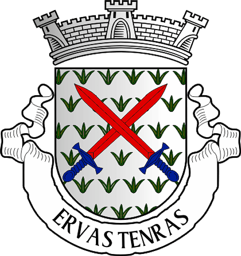 Emblema Bordado Antiga Freguesia de Ervas Tenras (Pinhel, Guarda)