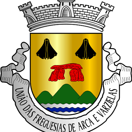 Emblema Bordado Freguesia de Arca e Varzielas (Oliveira de Frades, Viseu) 1