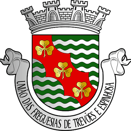 Emblema Bordado Freguesia de Trevões e Espinhosa (São João da Pesqueira, Viseu) 1