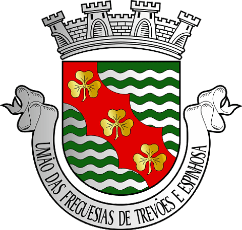 Emblema Bordado Freguesia de Trevões e Espinhosa (São João da Pesqueira, Viseu)