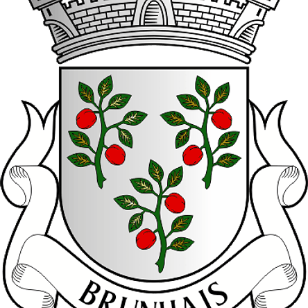Emblema Bordado Antiga Freguesia de Brunhais (Póvoa de Lanhoso, Braga) 1