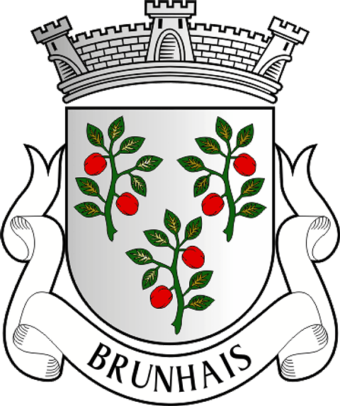 Emblema Bordado Antiga Freguesia de Brunhais (Póvoa de Lanhoso, Braga)