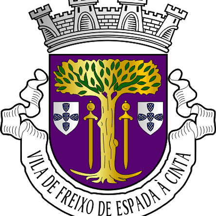 Emblema Bordado Município de Freixo de Espada à Cinta (Bragança) 1