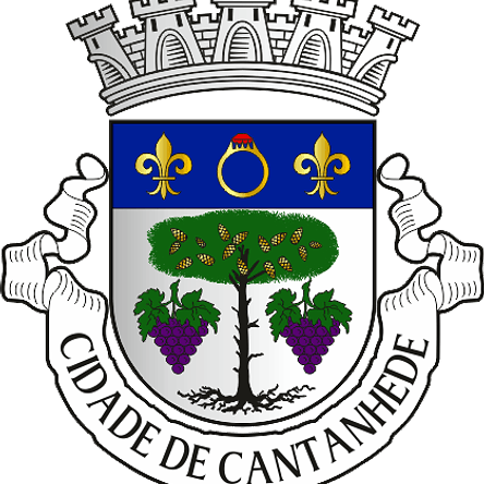 Emblema Bordado Município de Cantanhede (Coimbra) 1