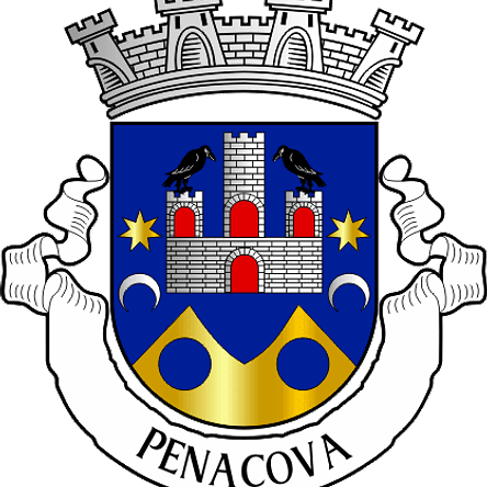 Emblema Bordado Município de Penacova (Coimbra) 1