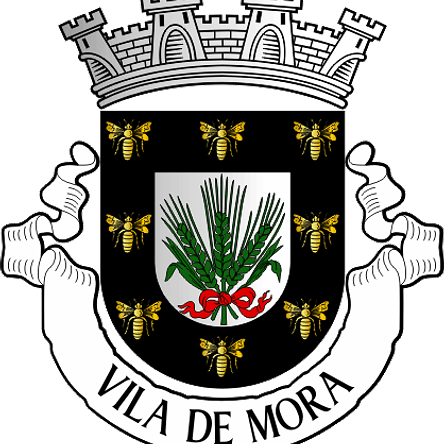 Emblema Bordado Município de Mora (Évora) 1