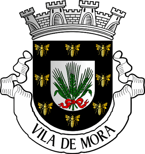 Emblema Bordado Município de Mora (Évora)
