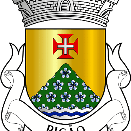 Emblema Bordado Antiga Freguesia de Picão (Castro Daire, Viseu) 1