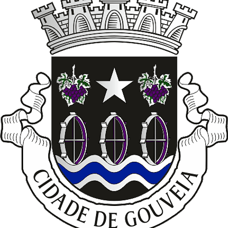 Emblema Bordado Município de Gouveia (Guarda) 1