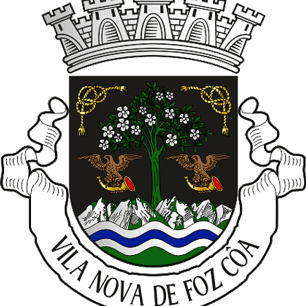 Emblema Bordado Município de Vila Nova de Foz Côa (Guarda) 1