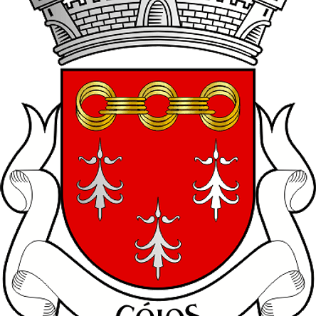 Emblema Bordado Antiga Freguesia de Góios (Barcelos, Braga) 1