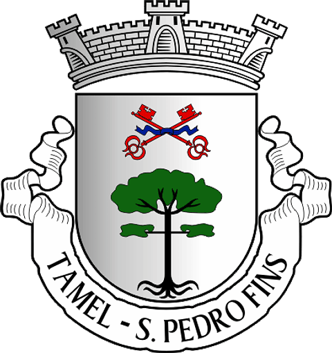 Emblema Bordado Antiga Freguesia de Tamel (São Pedro Fins) (Barcelos, Braga)