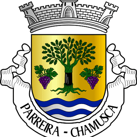 Emblema Bordado Antiga Freguesia de Parreira (Chamusca, Santarém) 1