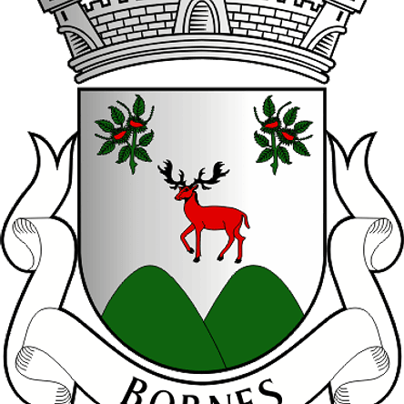 Emblema Bordado Antiga Freguesia de Bornes (Macedo de Cavaleiros, Bragança) 1