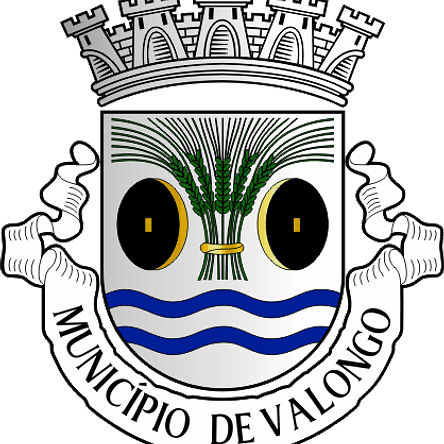 Emblema Bordado Município de Valongo (Porto) 1