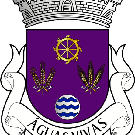 Emblema Bordado Antiga Freguesia de Águas Vivas (Miranda do Douro, Bragança) 1