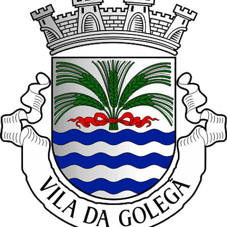 Emblema Bordado Município de Golegã (Santarém) 1