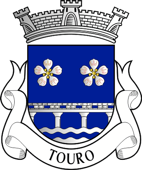 Emblema Bordado Freguesia de Touro (Vila Nova de Paiva, Viseu)