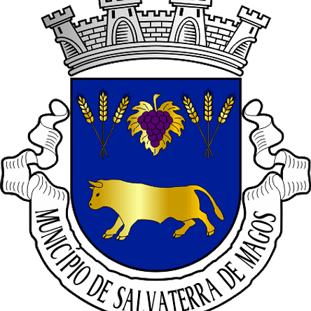 Emblema Bordado Município de Salvaterra de Magos (Santarém) 1