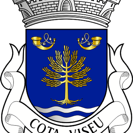 Emblema Bordado Freguesia de Cota (Viseu, Viseu) 1