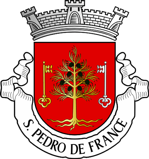 Emblema Bordado Freguesia de São Pedro de France (Viseu, Viseu)