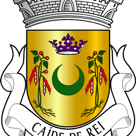 Emblema Bordado Freguesia de Caíde de Rei (Lousada, Porto) 1