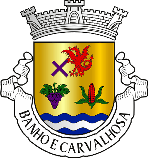Emblema Bordado Freguesia de Banho e Carvalhosa (Marco de Canaveses, Porto)