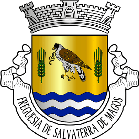Emblema Bordado Antiga Freguesia de Salvaterra de Magos (Salvaterra de Magos, Santarém) 1