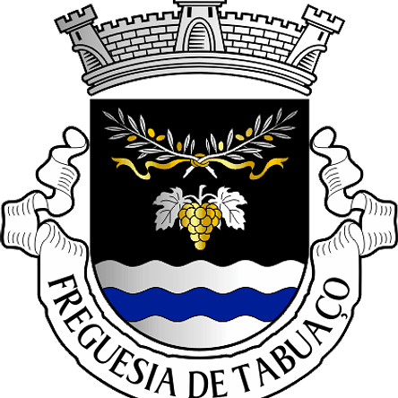 Emblema Bordado Freguesia de Tabuaço (Tabuaço, Viseu) 1