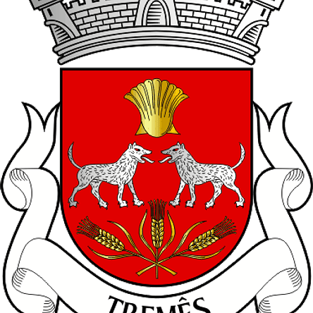Emblema Bordado Antiga Freguesia de Tremês (Santarém, Santarém) 1