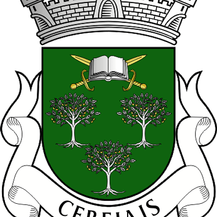 Emblema Bordado Freguesia de Cerejais (Alfândega da Fé, Bragança) 1