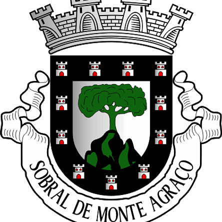 Emblema Bordado Município de Sobral de Monte Agraço (Lisboa) 1