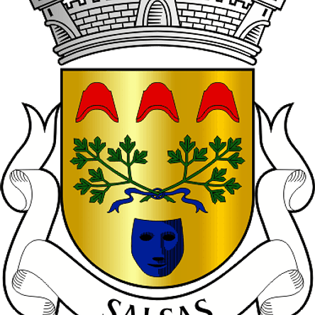 Emblema Bordado Freguesia de Salsas (Bragança, Bragança) 1