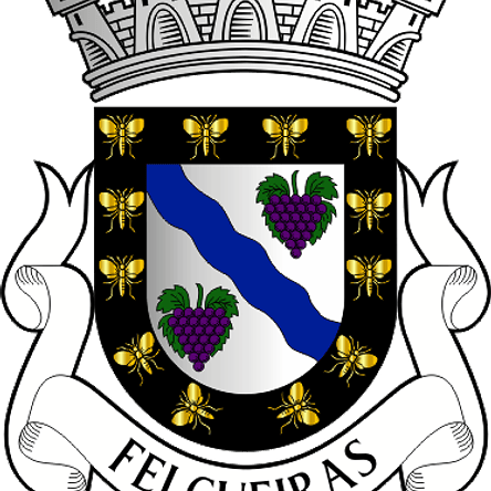 Emblema Bordado Município de Felgueiras (Porto) 1