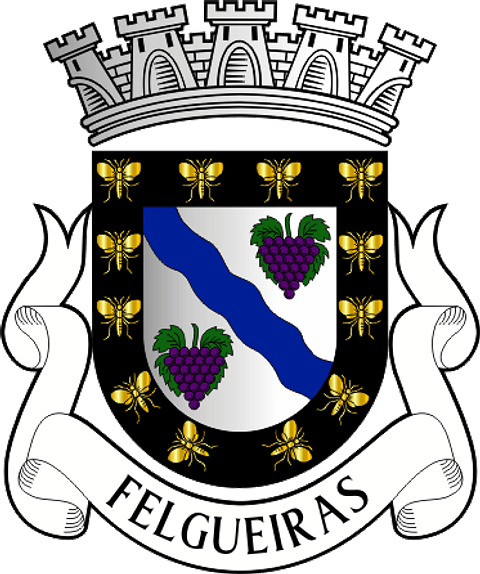 Emblema Bordado Município de Felgueiras (Porto)