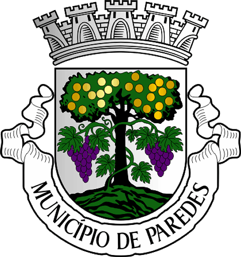 Emblema Bordado Município de Paredes (Porto)