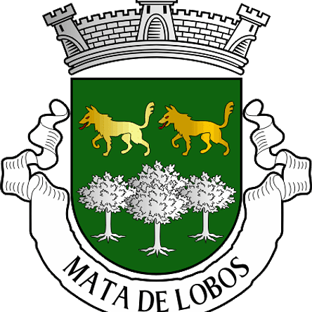 Emblema Bordado Freguesia de Mata de Lobos (Figueira de Castelo Rodrigo, Guarda) 1