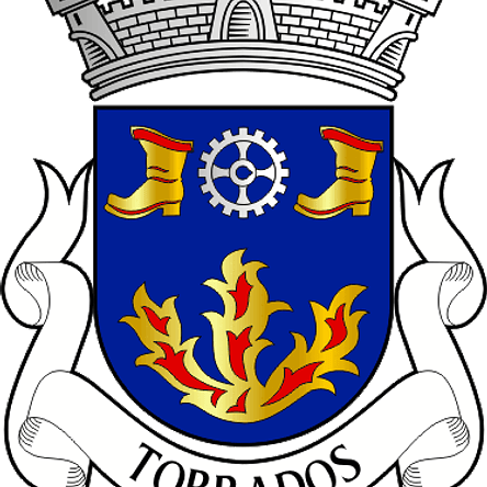 Emblema Bordado Antiga Freguesia de Torrados (Felgueiras, Porto) 1