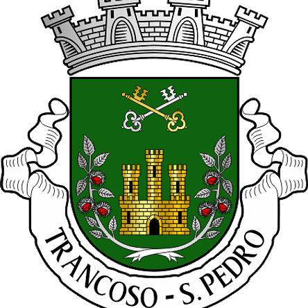 Emblema Bordado Antiga Freguesia de Trancoso (São Pedro) (Trancoso, Guarda) 1